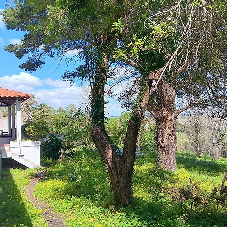 Quintinha A 35Min De Lisboa Villa มาฟรา ภายนอก รูปภาพ