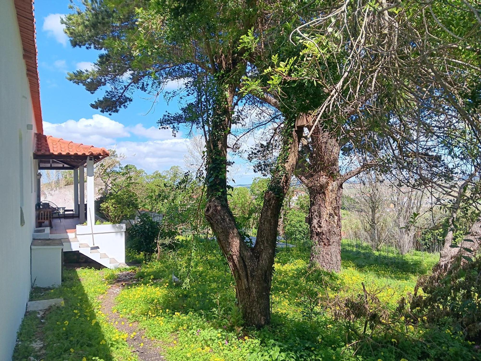 Quintinha A 35Min De Lisboa Villa มาฟรา ภายนอก รูปภาพ
